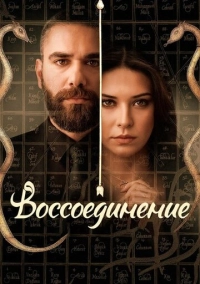 Воссоединение (2019)
