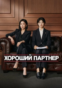 Хороший партнёр (2024)
